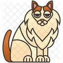 Angora Cat  Icon