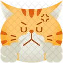 Angry Emoticon Cat Symbol