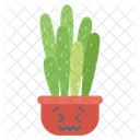 Angry Cactus Jade Plant Succulent Plant Icon