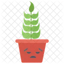 Angry Cactus Cactus Plant Succulent Plant Icon