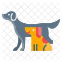 Animais de estimação  Ícone
