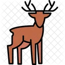 Animal Antler Deer Icon