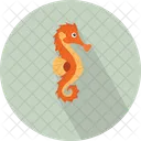 Animal Hippocampus Syngnathidae Icon
