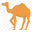 Camelo Islamico Animal Deserto Isla Ícone