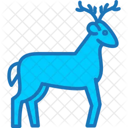 Animal  Icon