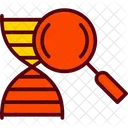 Animal Cetology Science Icon