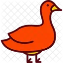 Animal Canard Drake Icon