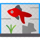 동물 수족관 물고기 아이콘