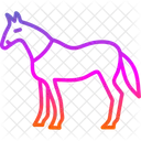 Animal Horse Mammal Icon