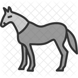 Animal  Icon