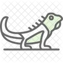 Animal Green Iguana Icon