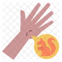 Animal Bite  Icon