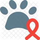 Animal Cancer  Icon