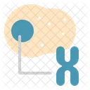 Animal Cell  Icon