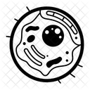 Animal Cell  Icon