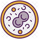 Animal Cell Icon