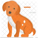 Animal De Estimacao Cachorro Cachorrinho Icon