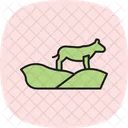 Animal farm landscape  Icon