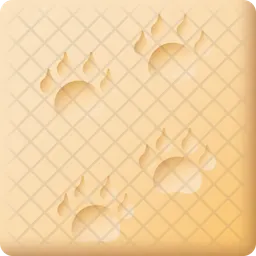Animal footprint  Icon