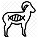 Animal Genetics  Icon