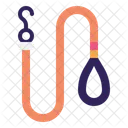 Animal Leash Pet Icon