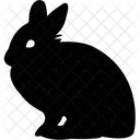 Animal Rabbit Domestic Animal Herbivorous Animal Icon