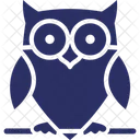 Animal Bird Halloween Owl Icon