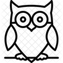 Animal  Icon