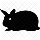 Animal Rabbit Domestic Animal Herbivorous Animal Icon