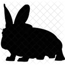 Animal Rabbit Domestic Animal Herbivorous Animal Icon