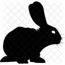 Animal Rabbit Domestic Animal Herbivorous Animal Icon
