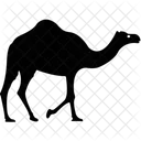 Animal Camel Desert Animal Icon
