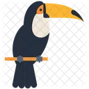Animal Bird Wild Animal Icon