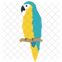 Animal Wild Animal Nature Icon