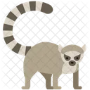 Animal Wild Animal Nature Icon