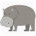 Animal Wild Animal Nature Icon
