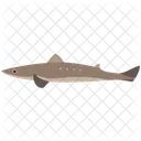 Animal Wild Animal Nature Icon