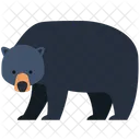 Animal Wild Animal Nature Icon