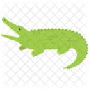 Animal Wild Animal Nature Icon