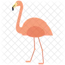 Animal Wild Animal Nature Icon