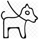Animal  Icon