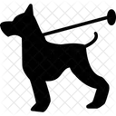 Animal  Icon