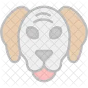 Animal  Icon