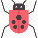 Animal  Icon