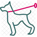Animal  Icon