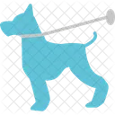 Animal  Icon