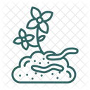 Animal  Icon