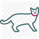 Animal  Icon