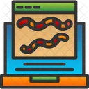 Animal  Icon