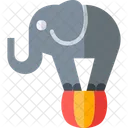 Animal  Ícone